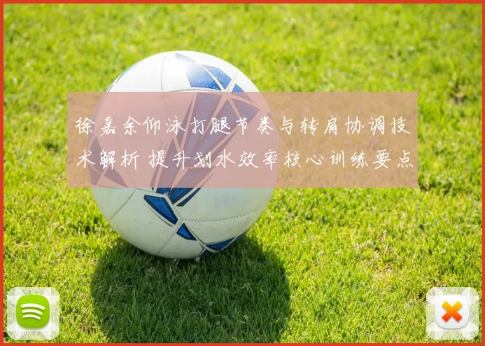 徐嘉余仰泳打腿节奏与转肩协调技术解析 提升划水效率核心训练要点