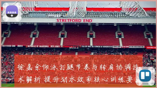 徐嘉余仰泳打腿节奏与转肩协调技术解析 提升划水效率核心训练要点